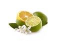 Lime and lemon with blossom on the white background