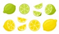 Lime and lemon cartoon vector illustration. Slices, slices, slices, cut lemon and lime isolated on white background.