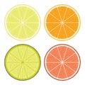 Lime, lemon, grapefruit and orange slices. vector Royalty Free Stock Photo