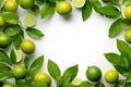 lime and lemon with green leaves in a frame on a white background, Generative AI