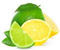 Lime and lemon Royalty Free Stock Photo