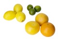 lime, lemon, oranges Royalty Free Stock Photo