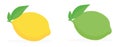 Lime and lemon set. Isolated on a white background. Vector illustration icon set lemon and lime Royalty Free Stock Photo