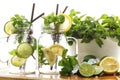 Lime lemon soda mint rosemary fresh drink summer