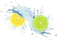 lime and lemon splash water Royalty Free Stock Photo