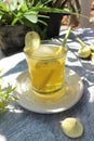 lime and lemongrass drink with ice cubes Royalty Free Stock Photo