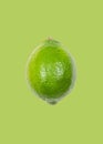 Lime levitate in air on green background. Concept of fruit levitation Royalty Free Stock Photo