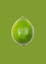 Lime levitate in air on green background. Concept of fruit levitation Royalty Free Stock Photo