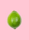 Lime levitate in air on pink background. Concept of fruit levitation Royalty Free Stock Photo