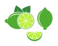 Lime logo. Isolated lime on white background