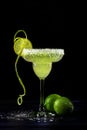 Lime Margarita with Salted Rim Royalty Free Stock Photo
