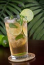 Lime and Mint Iced Tea Royalty Free Stock Photo