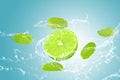 lime and mint, water splash isolated on blue background Royalty Free Stock Photo