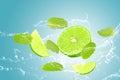 lime and mint, water splash  on blue background Royalty Free Stock Photo