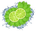 Lime, mint and water splash