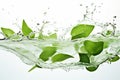 Fruit splashing nature motion water green background lime leaf liquid white fresh Royalty Free Stock Photo