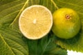 Lime Royalty Free Stock Photo