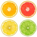 Lime, orange, grapefruit and lemon Royalty Free Stock Photo
