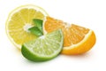 Lime, orange, lemon slices and leaves on an isolated white background. Royalty Free Stock Photo