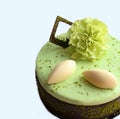 Lime and pistachio cake with chocolate decorations with green carnation flower