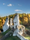 Lime rock outlier formation Royalty Free Stock Photo