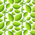 Lime seamless pattern