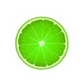 Lime slice in cut, flat style vector illustration isolated on white background Royalty Free Stock Photo