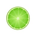 Lime slice in cut, flat style vector illustration isolated on white background Royalty Free Stock Photo