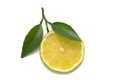 Lime slice with fresh leaves Royalty Free Stock Photo