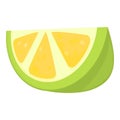 Lime slice icon cartoon vector. Tequila alcohol