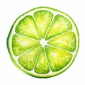 Lime slice icon design with open top trigger for refreshing bite