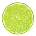 Lime slice isolated without shadow