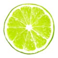 Lime slice isolated