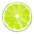 Lime slice isolated