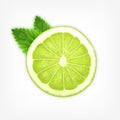 Lime slice with mint Royalty Free Stock Photo