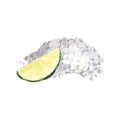 Lime slice with salt. Watercolor hand-drawn illustration isolated on white background. Perfect for recipe list margarita