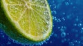 Lime slice in sparkling water Royalty Free Stock Photo