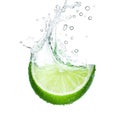 Lime Slice Splashing in Water with Bubbles Isolated Keywords: lime, slice, water, splash, liquid Royalty Free Stock Photo