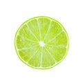 Lime slice top view. Fruit isolated on white background. With clipping path Royalty Free Stock Photo