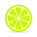 Lime slice vector icon