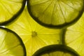 Lime slices Royalty Free Stock Photo