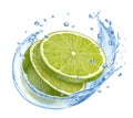 Lime slices falling into water splash isolated on white background Royalty Free Stock Photo