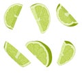 Lime slices illustration