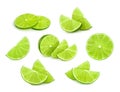 Lime slices isolated Royalty Free Stock Photo