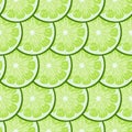 Lime slices tile seamless pattern. Royalty Free Stock Photo