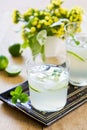 Lime with soda juice Royalty Free Stock Photo