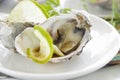 Lime And Soy Sauces Oysters