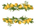 Lime template frame border wth citrus fruits and flowers on the