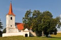 The church and the lime tree from leliceni,romania Royalty Free Stock Photo