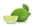 Lime vector illustration.